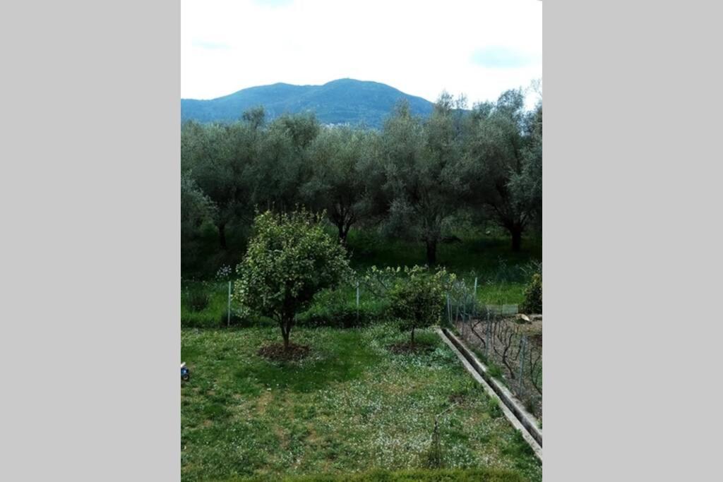 Υπεροχη Διαμονη... Achílleion Zewnętrze zdjęcie
